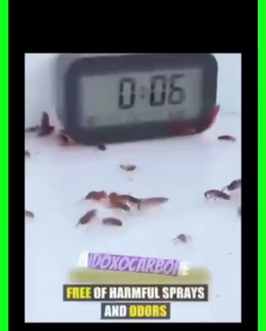 Gel Anti-Cafards Ultra Efficace – Élimination Rapide en 3 à 7 Jours (12 Pastilles)