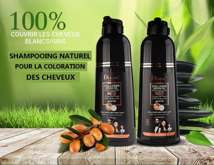 DISAAR – LE SHAMPOING QUI FAIT DISPARAÎTRE LES CHEVEUX BLANCS 🌿✨